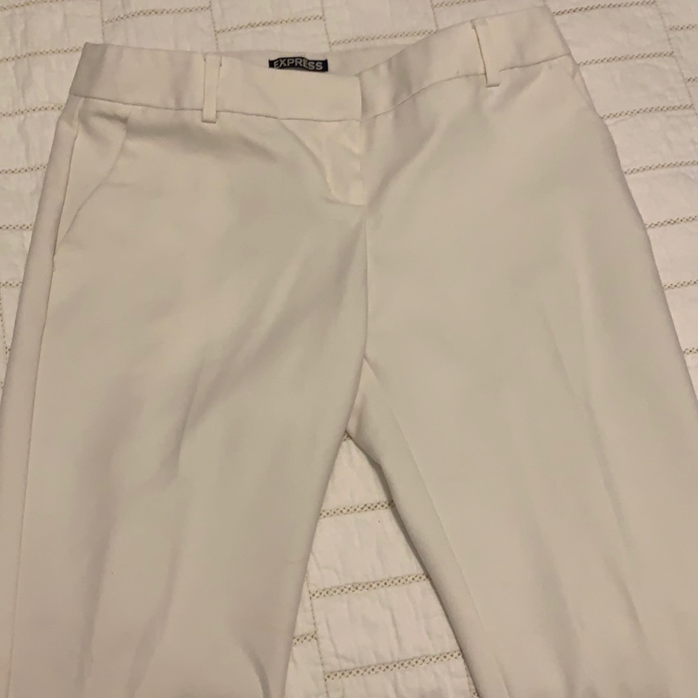 Express Columnist work pants